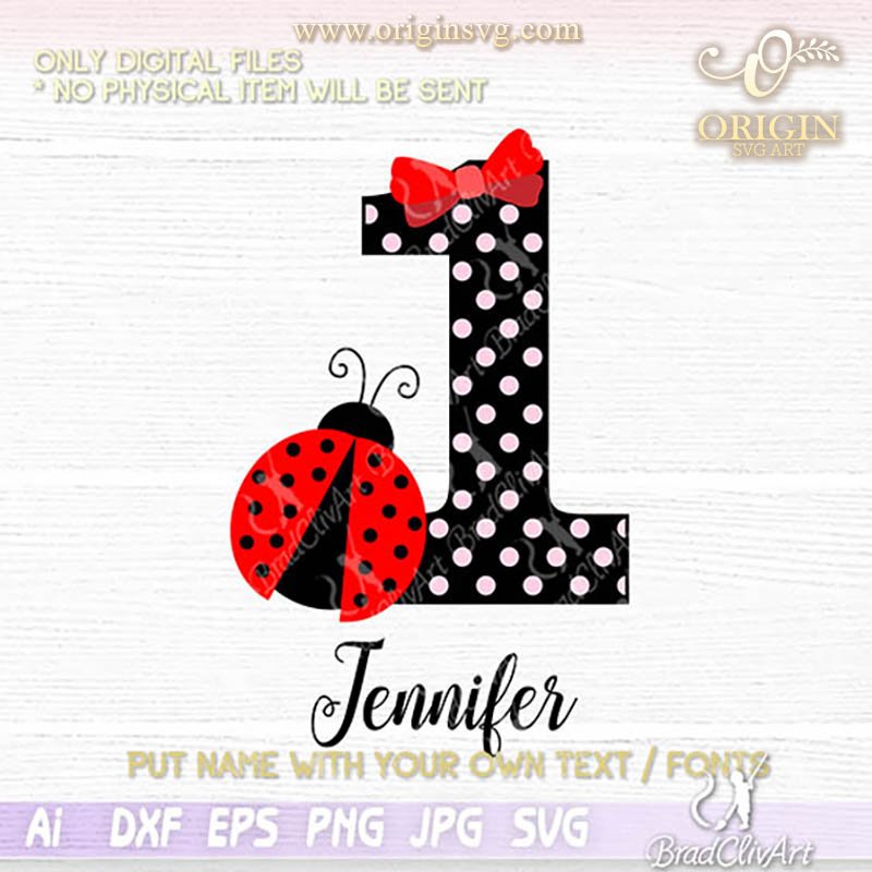 ladybug 1st birthday shirt