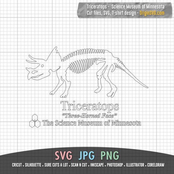 Triceratops three-horned face science museum of minnesota stranger things