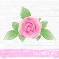 Rose SVG, floral decoration
