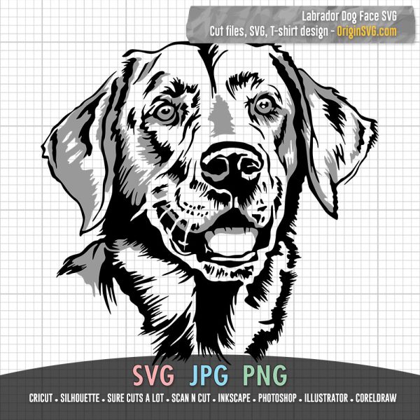 dog face series labrador SVG